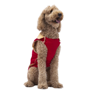 PawStar Kırmızı Yukon Orta Irk Köpek Kolsuz Yelek Kıyafet 4XL