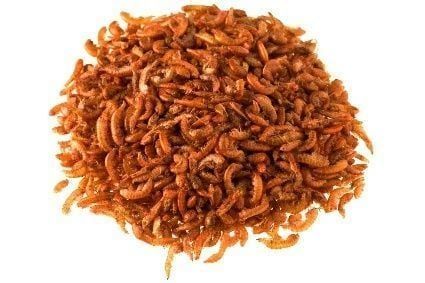 AHM SD Gammarus 50 gr - Açık Paket