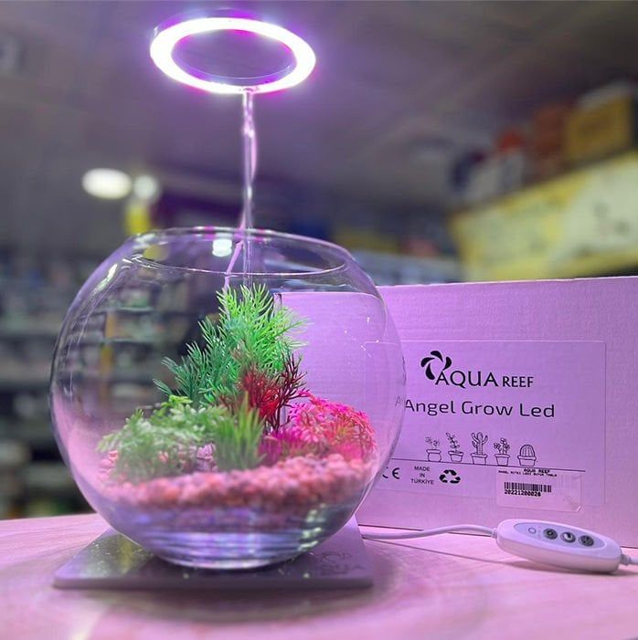 AquaReef Angel Grow Led Alt Platformlu Aydınlatma