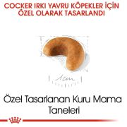 Royal Canin Cocker Puppy 3 Kg Yavru Köpek Irk Maması