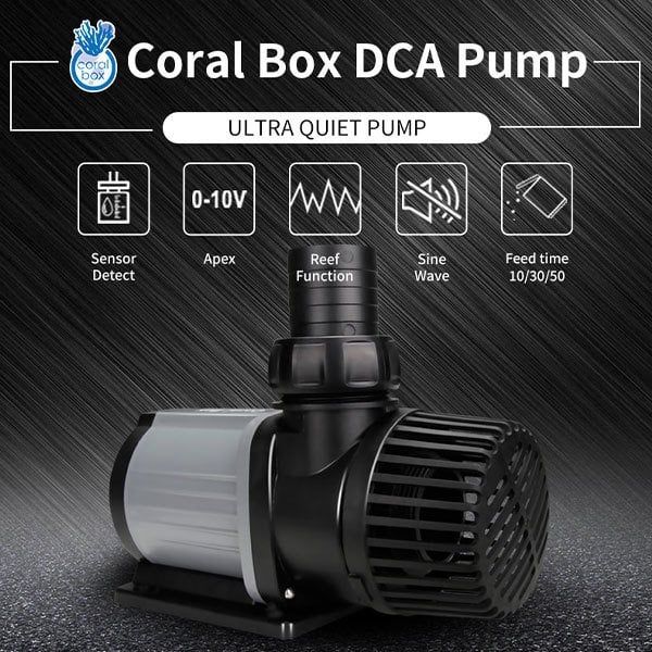 Coral Box - DCA 6000