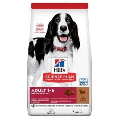 Hills Lamb Rice Kuzu Etli Yetişkin Köpek Maması 14 Kg