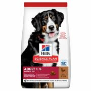 Hills Lamb Rice Kuzu Etli Büyük Irk Yetişkin Köpek Maması 12 + 2 Kg