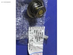 (549)FAW CA1024 CA5024 TERMOSTAT 462-1306950-B
