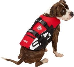 DFD (Dog Flotation Device)