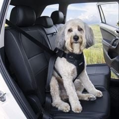 Drive Car Harness