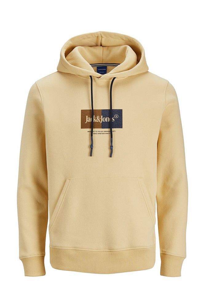 Kapüşonlu Yazı Baskılı Erkek Sweatshirt 12242197