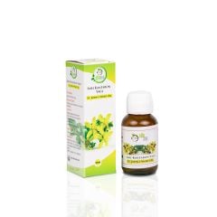 St. John's Wort Oil (50 cc)