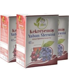 Herbal Mix with Cranberries and Blueberries 3 Packs