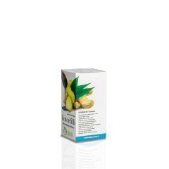 Zencefilli Harnup Pekmezli Macun (3 adet-430 gr.)