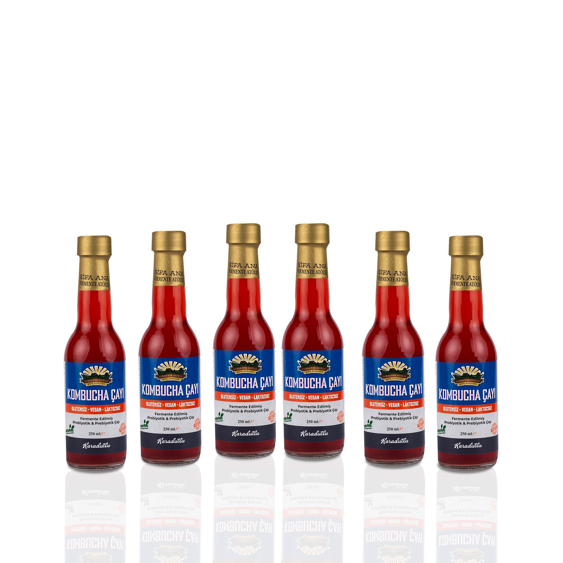 6 Adet Karadutlu Kombucha (250ml.) Cam Şişede