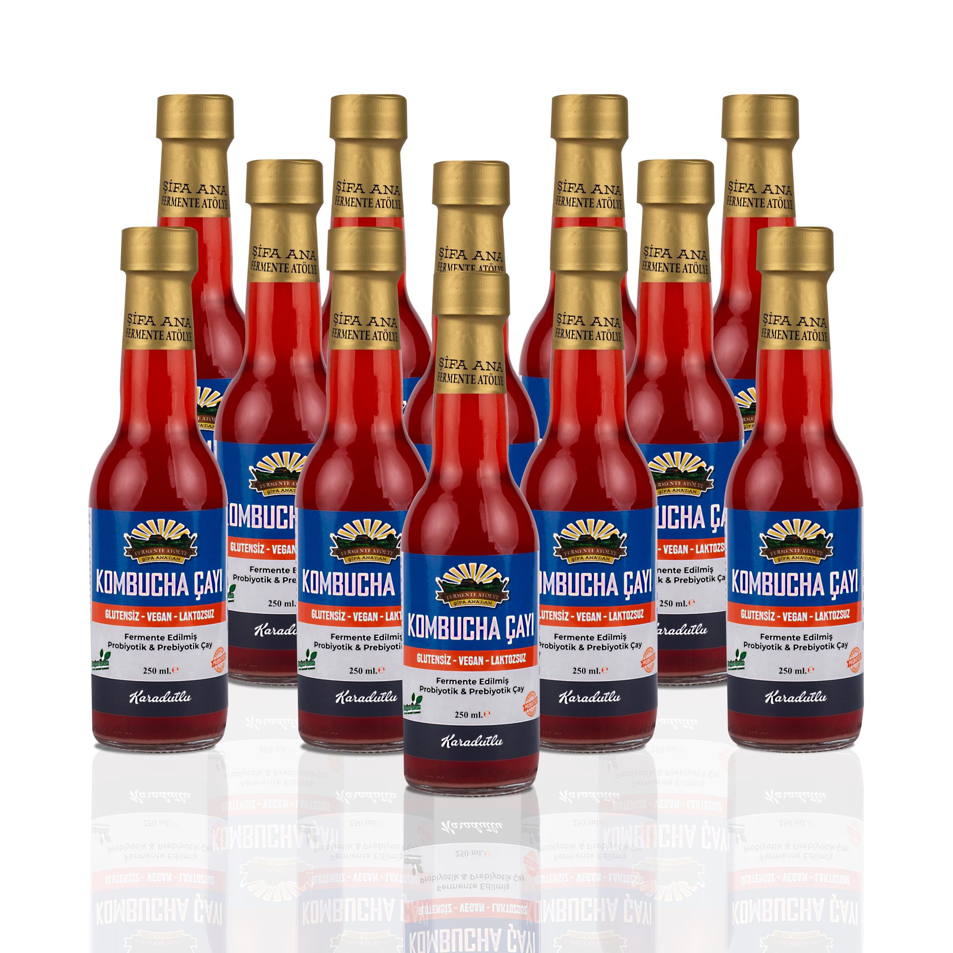 12 Adet Karadutlu Kombucha (250ml.) Cam Şişede