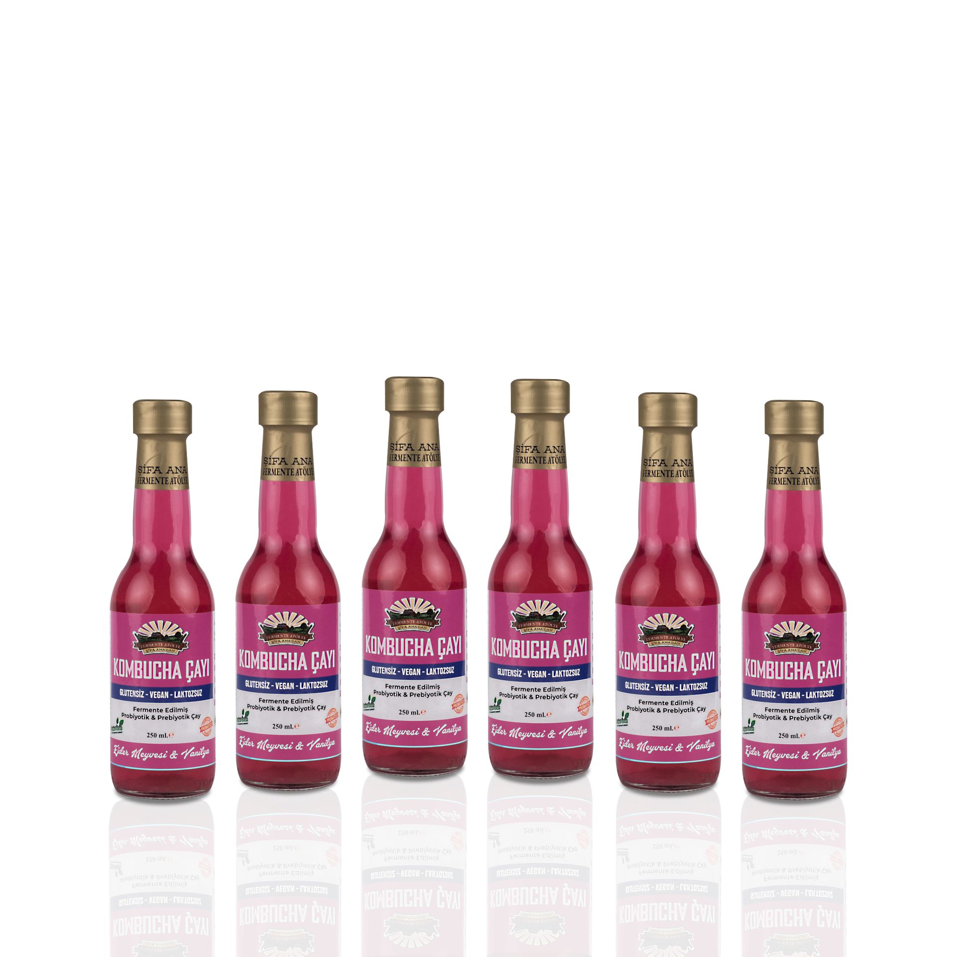 6 Dragon Fruit & Vanilla Kombucha (250ml.) in Glass Bottle