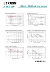 LEXRON 9AH-12V KURU TİP AKÜ