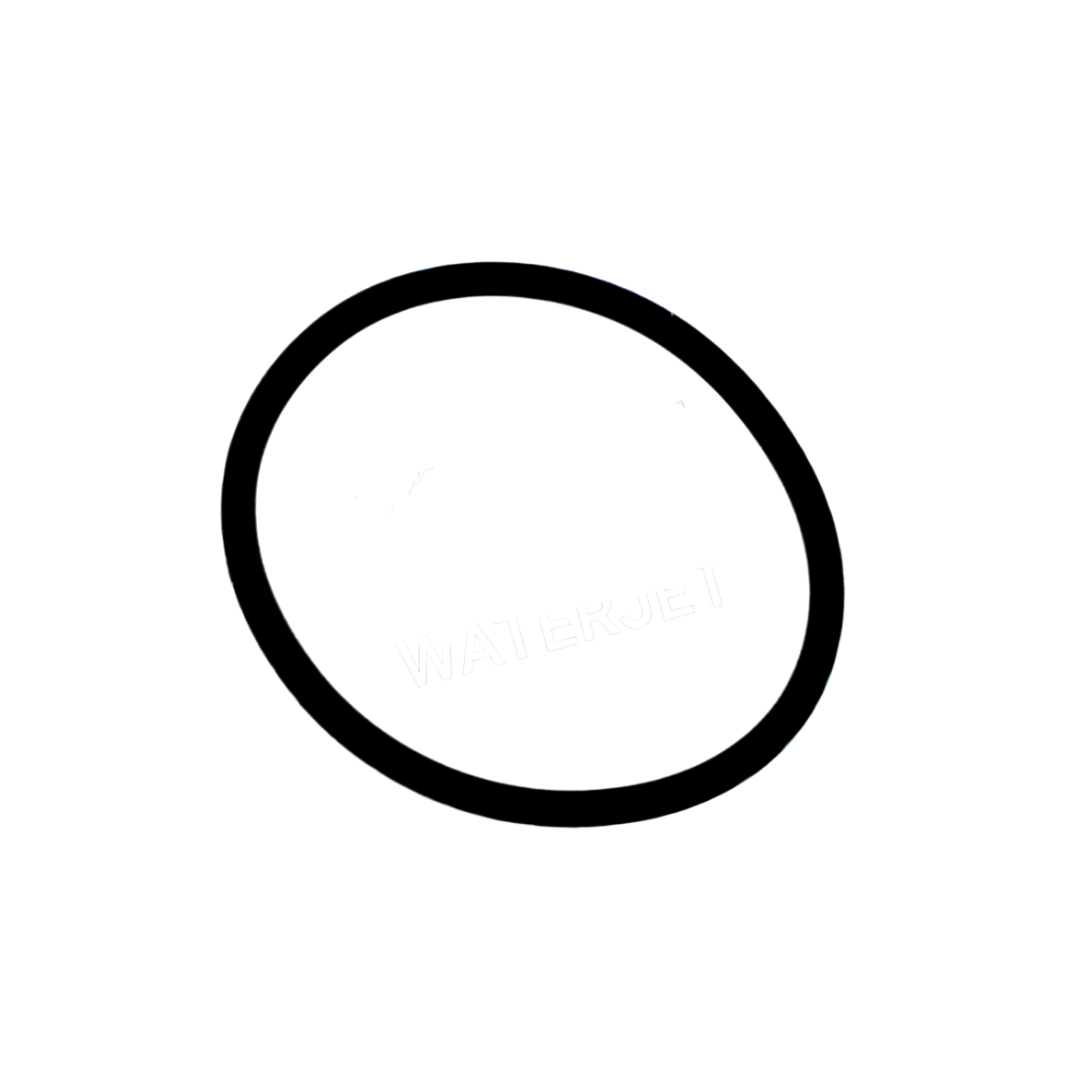 10074565 O-Ring