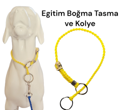 Köpek Egitim Tasma Cift Halkalı Klasik Model