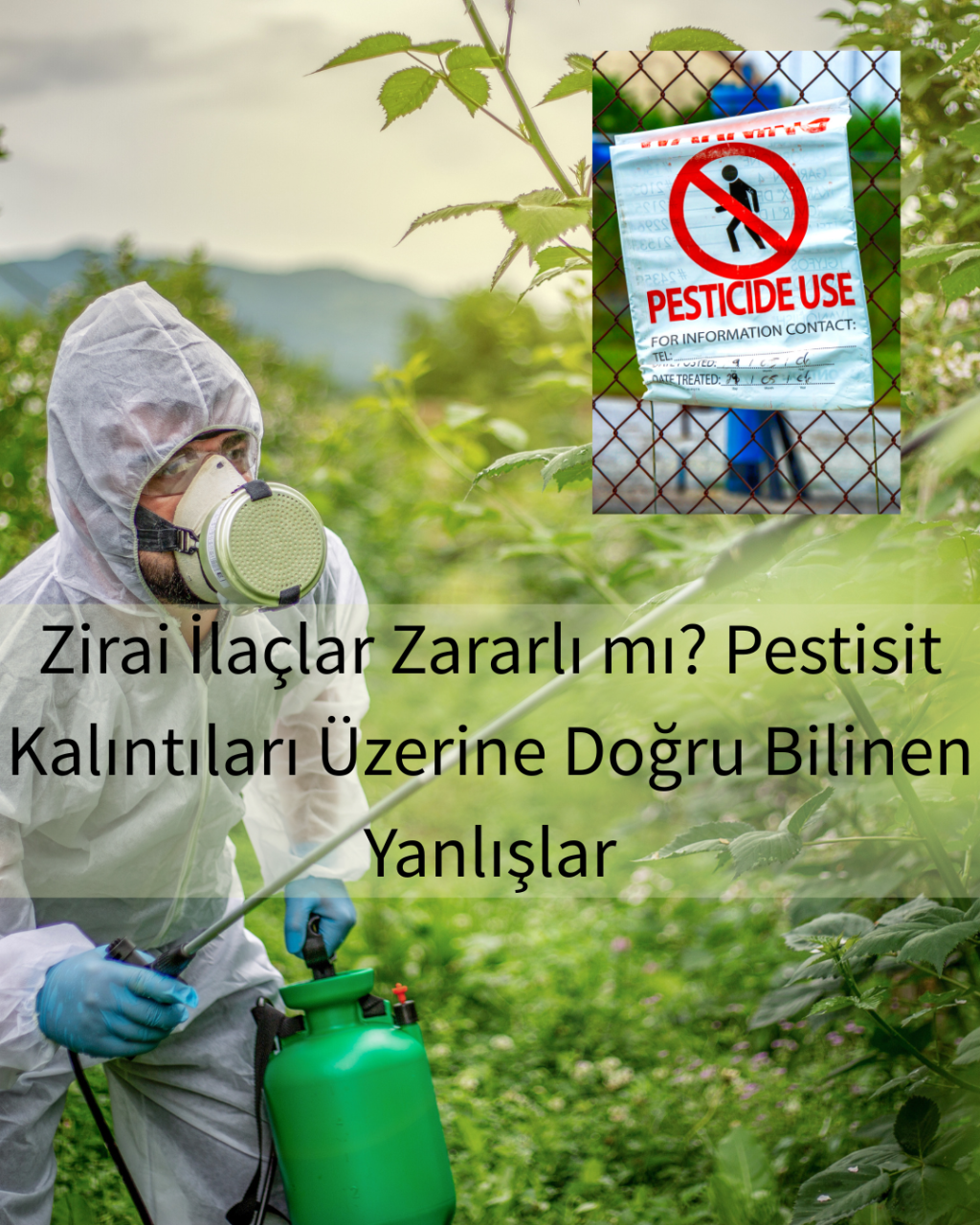 Zirai İlaçlar Zararlı mı? Pestisit Kalıntıları Üzerine Doğru Bilinen Yanlışlar