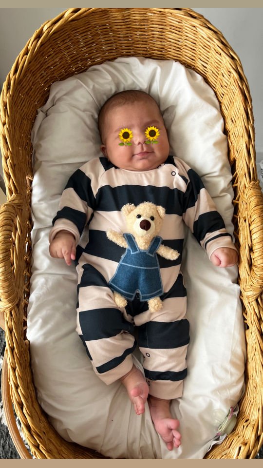PoloBear Tulum
