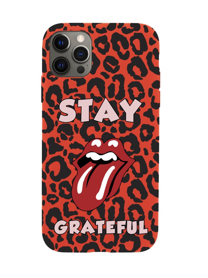 iPhone 12 Pro Stay Grateful Premium Lansman Silikonlu Kılıf