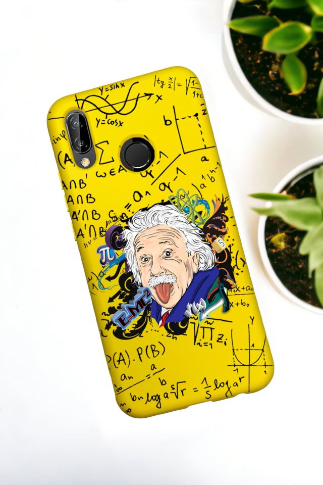 Huawei P20 Lite Uyumlu Einstein Desenli Premium Silikonlu Lansman Telefon Kılıfı