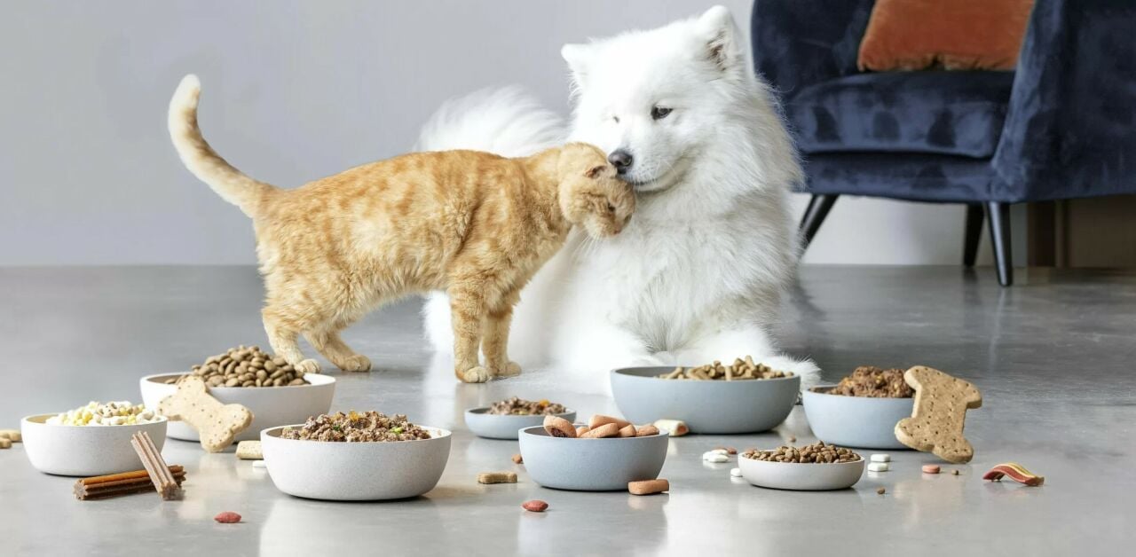 Köpek Maması Ambalajı Nedir? Nerelerde Kullanılır?