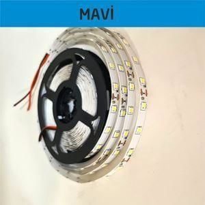 3535 Şerit Led Mavi (5 METRE)