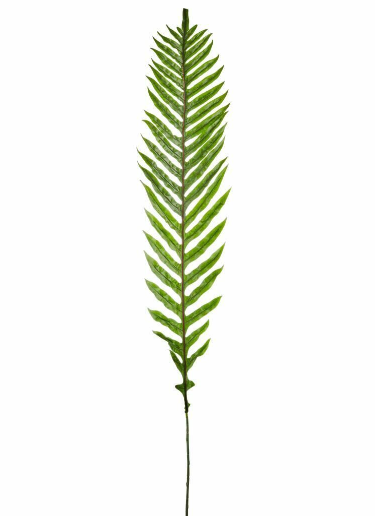 SWORD FERN YAPRAK 160X20CM