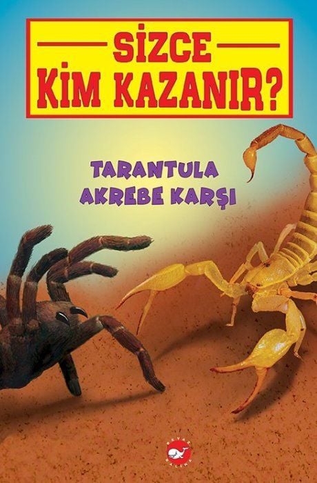 Sizce Kim Kazanır? Tarantula Akrebe Karşı