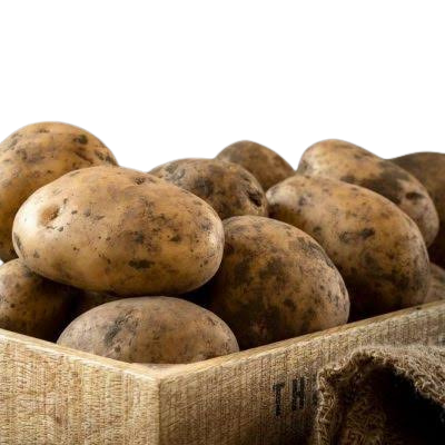 Artvin Beyaz Patates
