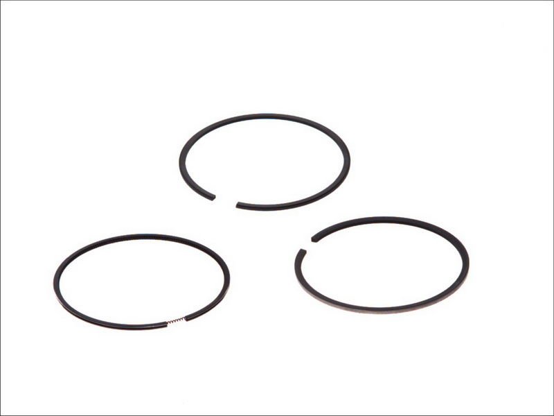 Engine Rings Iveco