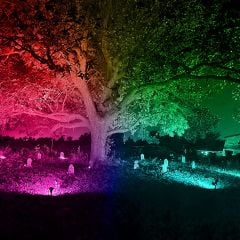 Solar RGB LED Bahçe Aydınlatma Güneş Enerjili Lamba