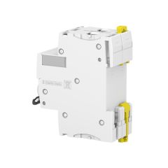 Schneider Electric A9F84225 2X25A 10kA C Serisi Otomatik Sigorta C60H