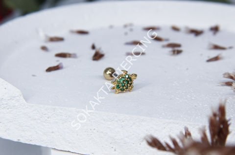 B43 - TRAGUS
