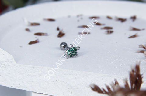B43 - TRAGUS