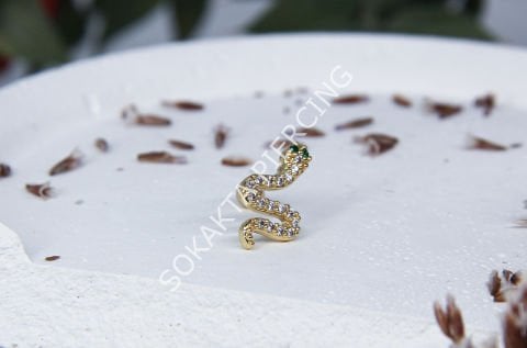 Tragus 46