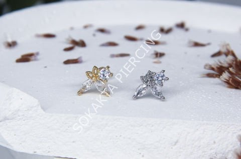 C96 - TRAGUS