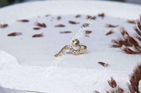 Tragus 123