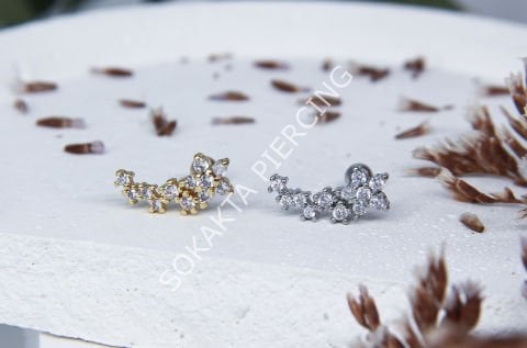Tragus 178