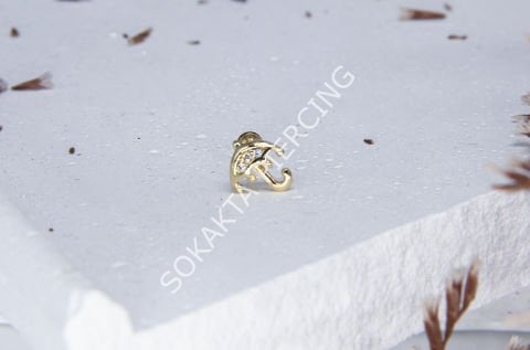 A2 - TRAGUS