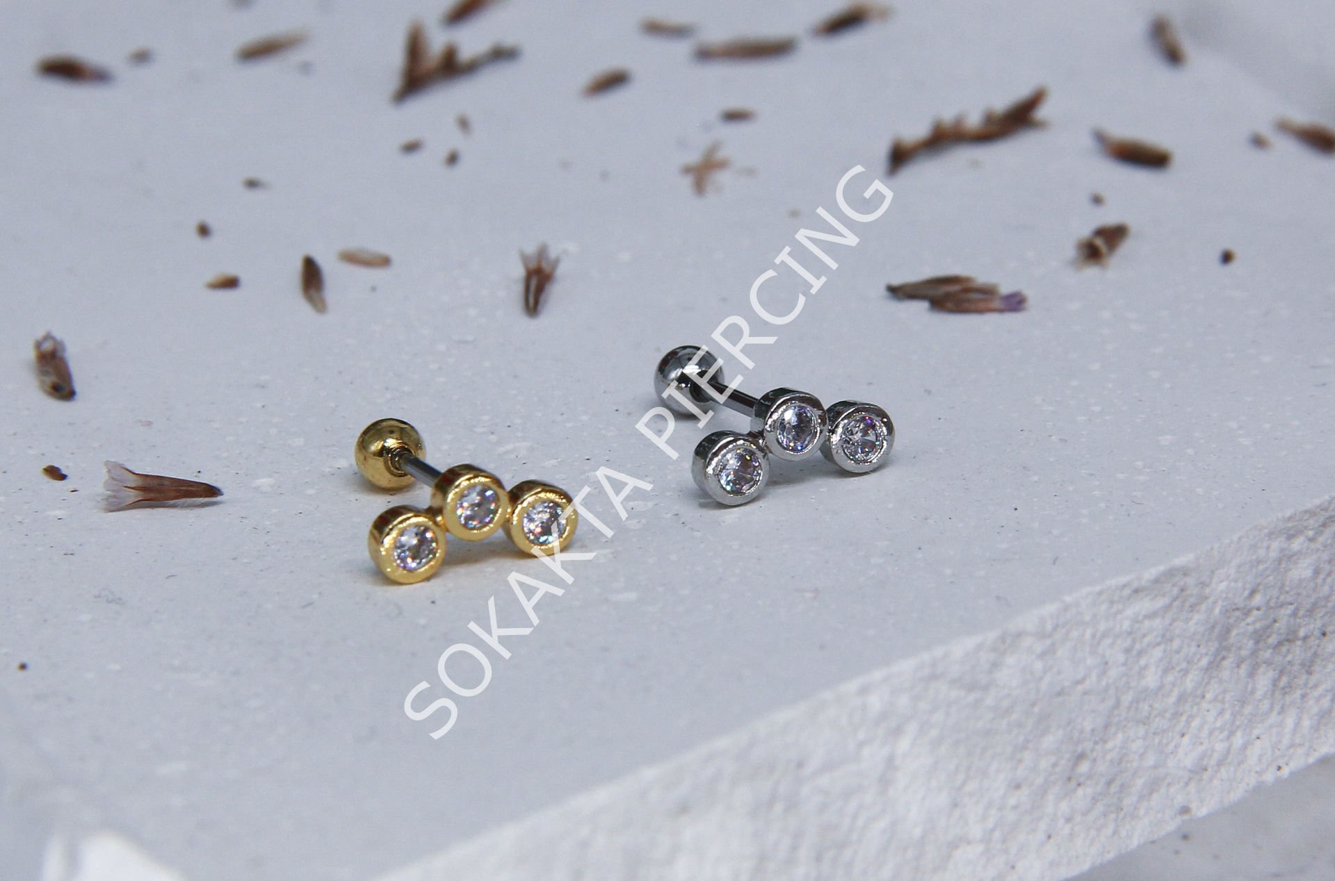Tragus 201