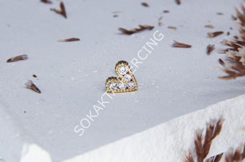 B42 - TRAGUS