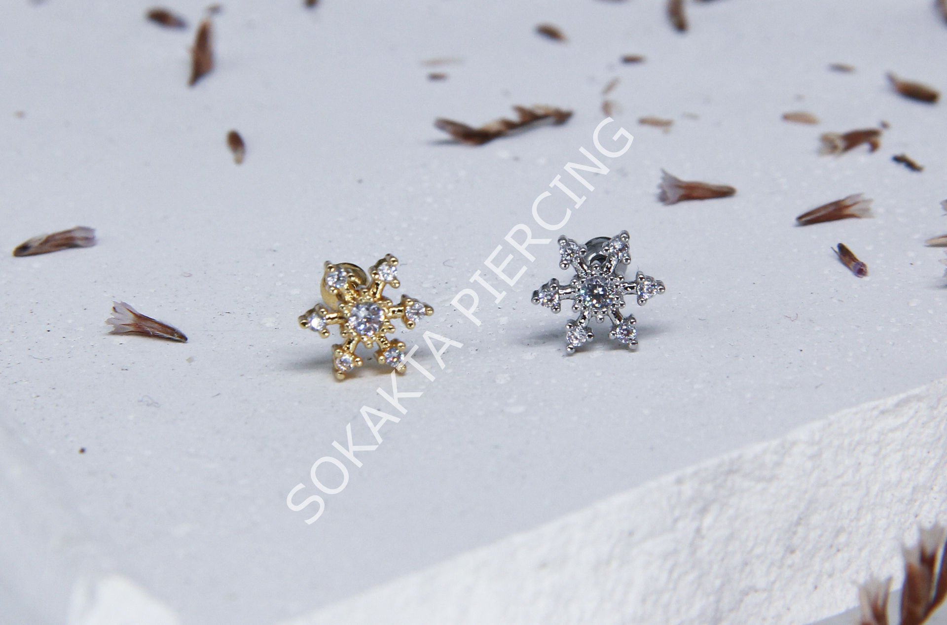 Tragus 209