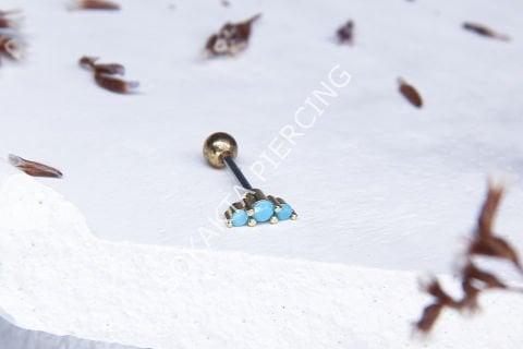 B38 - TRAGUS
