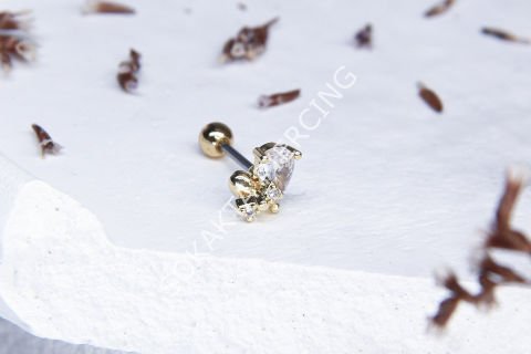 Tragus 310