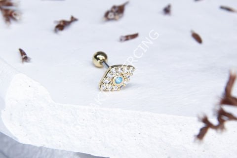 B108 - TRAGUS