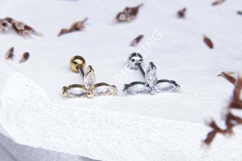 B9 - TRAGUS