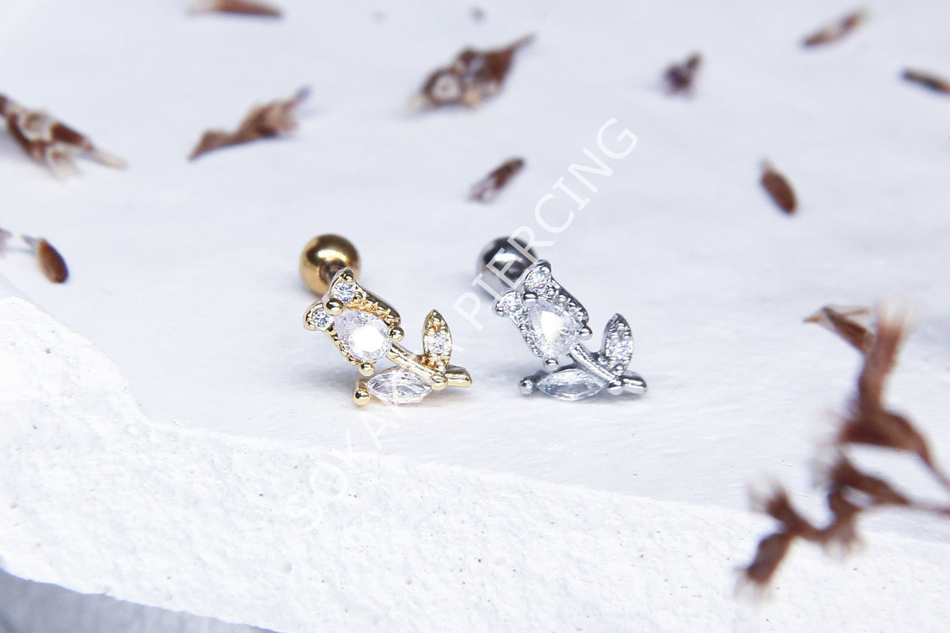 Tragus 326