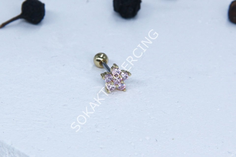 B48 - TRAGUS