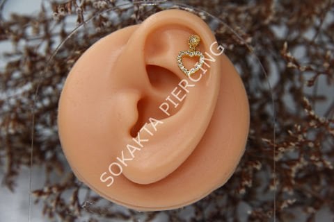 D6 - SALLANTILI TRAGUS - HELIX