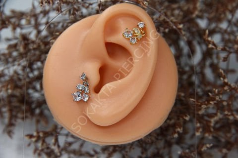 D9 - SALLANTILI TRAGUS - HELIX